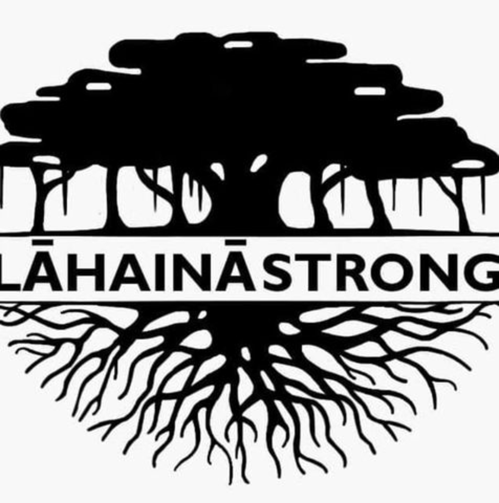 Meet your Posher, Gam